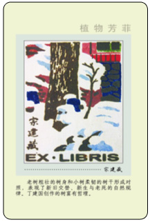 6B 副本.jpg