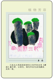 8B 副本.jpg