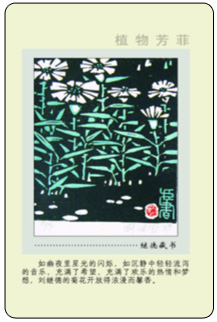 5B 副本.jpg