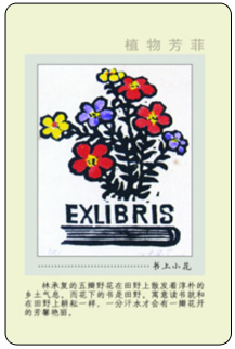 4B 副本.jpg
