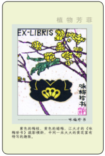 3B 副本.jpg