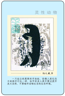 5B 副本.jpg